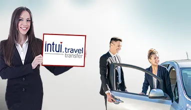 Transfer indywidualny