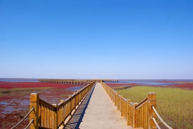 Czerwona Plaża w Panjin, Chiny