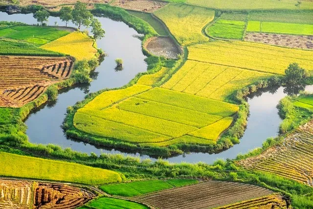 Pola ryżowe jesienią, Wietnam